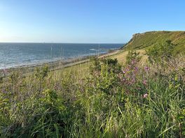 10 mins walk from campsite