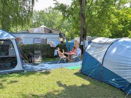 Pick a sunny or shaded spot