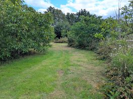 Orchard