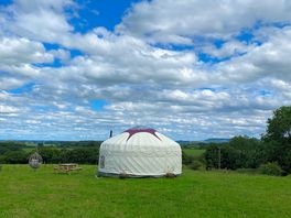 View from camping space for yurt looking east.