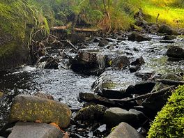 Scenery