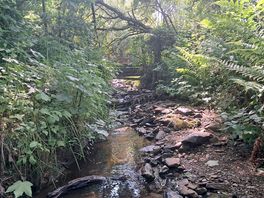 Lovely place to go