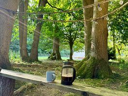 My morning coffee surrounded by nature.