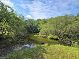 Wild swimming area ar the bottom of throat site
