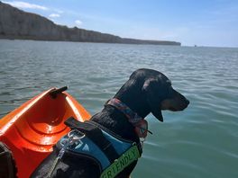 Kayak
