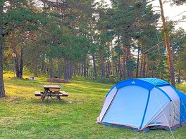 Tent pitches