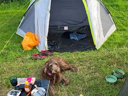 My little tent