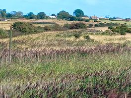 Scenery on ine of the walks
