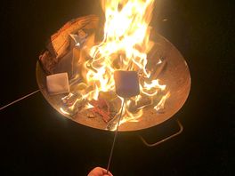 Marshmallows purchased on site