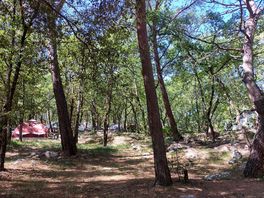 Campsite