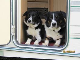 Thank you sharon and george , from jack and meg