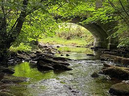 One of the lovely walks.
