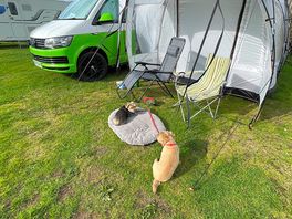 Dog friendly
