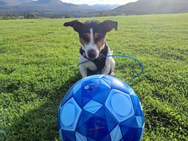 Kick it dad!