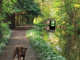 Canal tow path