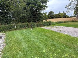 Lovely pitches