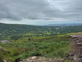 Local walk