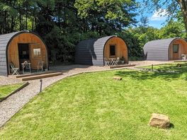 Grass area