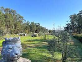 Site from the gate