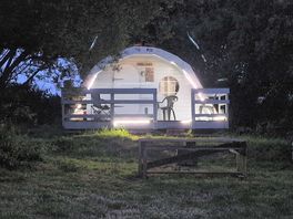 The pod