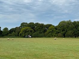Camp site