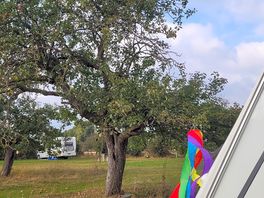 Free cooking apples