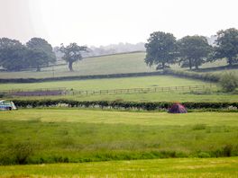 Field view