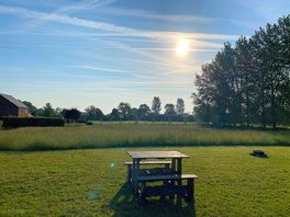 Early morning sunshine 😎