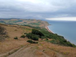 View from half way up golden cap