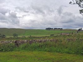 Good walk