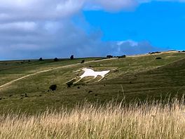 View of hills on a walk from the campsite.