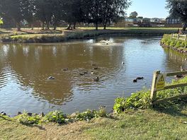 Lake