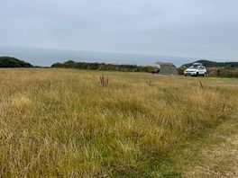 Our pitch