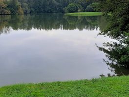 Peaceful lake