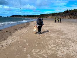 Fab walks