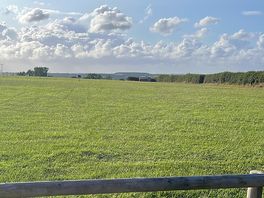 View from our campervan