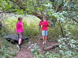 Foraging for wood 🪵
