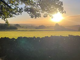 In the morning looking over the fields from out pitch.