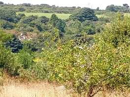 The view across the valley from the camping field.