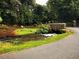 Bridge over stream entry to campsite