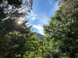 View from pitch 51