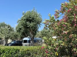 View back to pitch from garden area