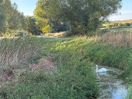 Stream near to the site