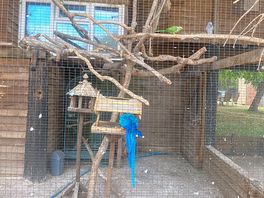 The bird aviary