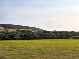 Field next to the campsite
