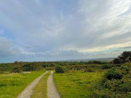 View from the farm track