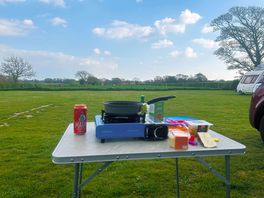 Field