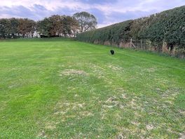 Said we could take the dog on the camping field if no campers were on and there’s another field .