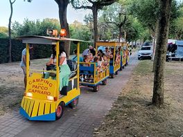 Train kids