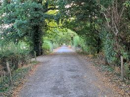 Plenty of walks